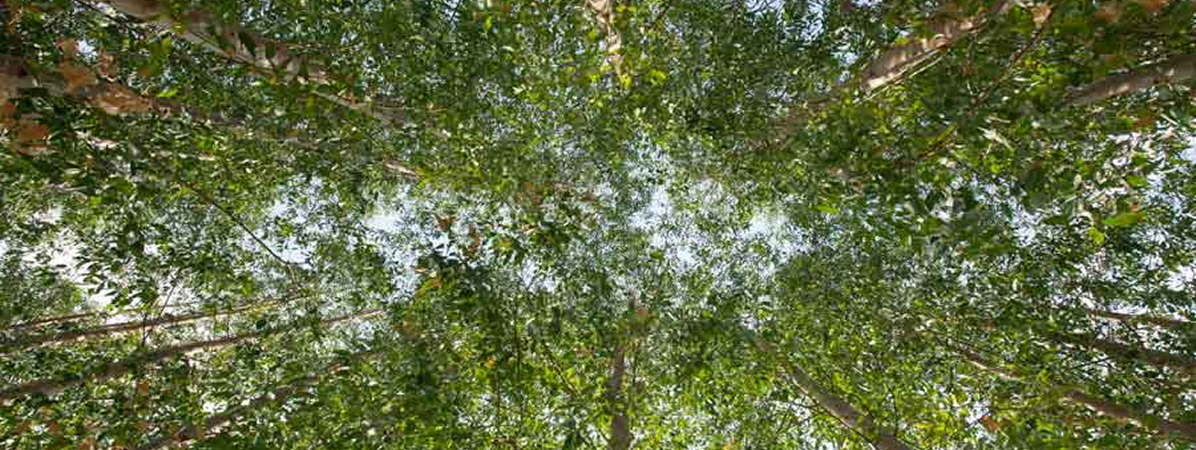 Pourquoi acheter un vêtement écologique ?